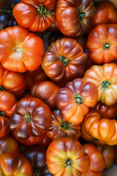 Heirloom tomato harvest from Mura village rural garden