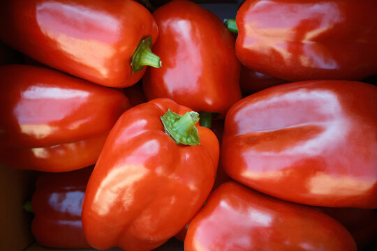 Fresh red bell pepper harvest from Mura village market