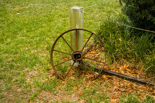 Antique rusty metal wagon wheel leaning against the concrete post on the green grass lawn covered with dry fallen leaves inside the park.