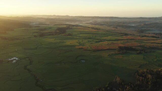 Aerial view of Wee Kacura rice terraces at sunrise with golden light illuminating the lush green landscape in Kecamatan Wewewa Timur, Nusa Tenggara Timur, Indonesia.