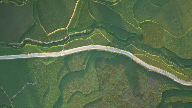 Aerial view of the lush green rice terraces at Wee Kacura with a winding road cutting through the landscape in Kecamatan Wewewa Timur, Nusa Tenggara Timur, Indonesia.