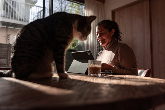 Woman use tablet at home with cat on table