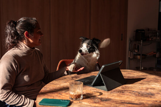 Woman hold dog paw at rustic kitchen table