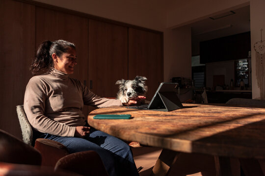 Woman with dog using tablet at sunlit wooden table