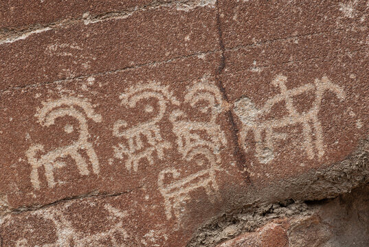 View of ancient petroglyphs featuring ibex and riders carved into the reddish-brown surface of the Sacred Rocks of Ganish in Ganish, Gilgit Baltistan, Pakistan.