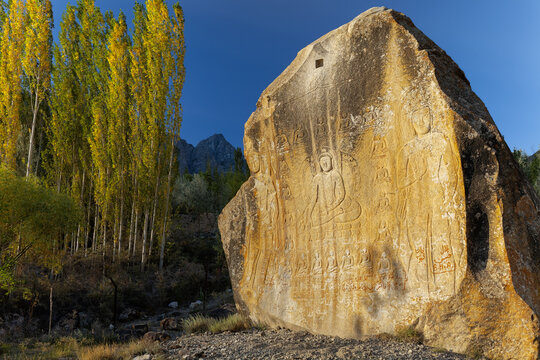 View of the ancient Manthal Buddha Rock relief carved into a large boulder, surrounded by tall autumn trees under a clear blue sky in Skardu, Gilgit Baltistan, Pakistan.
