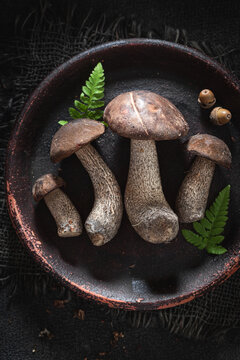 Wild and edible mushrooms collected from deciduous forest.