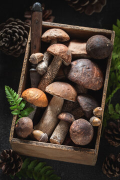 Wild and edible mushrooms in old wooden box.