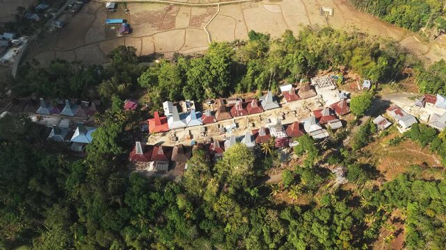 Aerial view of Kampung Prai Ijing traditional village with high-roofed houses surrounded by lush tropical trees and rice fields in Kota Walkabubak, East Nusa Tenggara, Indonesia.