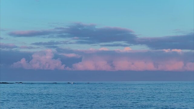 Soft pink clouds glow above the calm Pacific Ocean horizon at dawn off Big Island Hawaii with gentle blue waves rolling over dark lava rocks in tranquil tropical seascape scene.