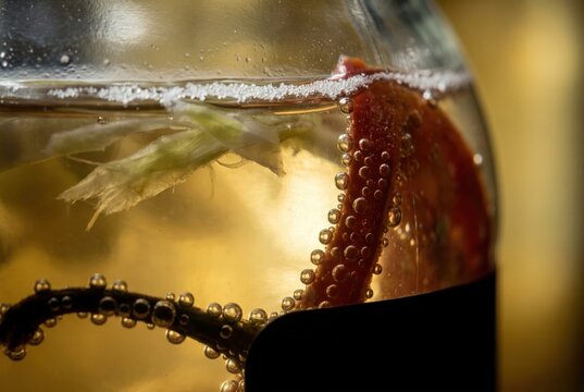 Sparkling cocktail with citrus garnish and bubbles in close up