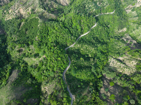 Aerial view of a winding road cutting through the lush green hills and dense forest vegetation in the hilly landscape of Chattogram, Chittagong Division, Bangladesh.