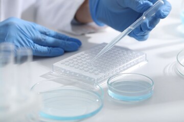 Fototapeta premium Scientist dripping sample into microplate at table in laboratory, closeup