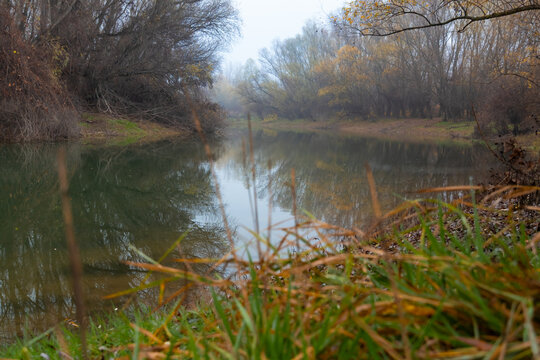 Mystical autumn landscape with foggy river flowing through dense forest during a quiet morning sunrise
