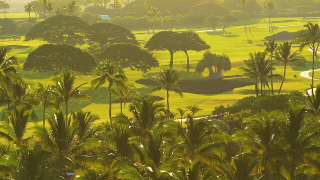 Warm golden sunset light glows over lush palm trees and vivid green golf course fairways on Big Island Hawaii. Drone view reveals tropical resort villas winding paths and shady canopy trees.