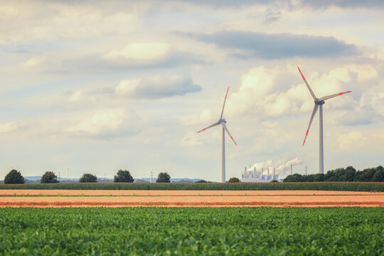 Renewable energy, wind turbines near the green corn field