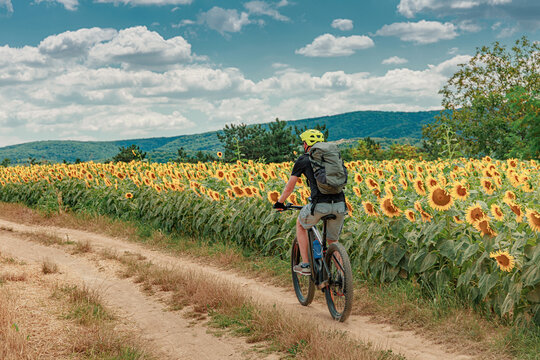 Man in green helmet rides an electric mountain bike along a dirt path beside a vast sunflower field in summer. Adventure concept.