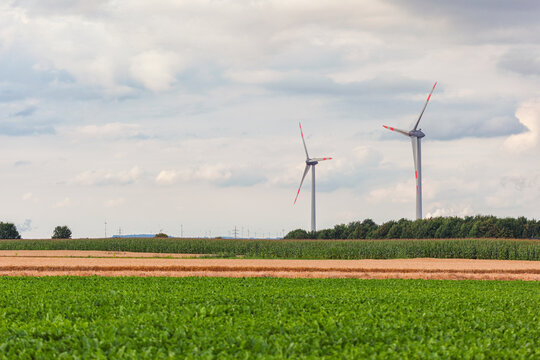 Renewable energy, wind turbines near the green corn field