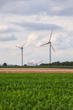 Renewable energy, wind turbines near the green corn field