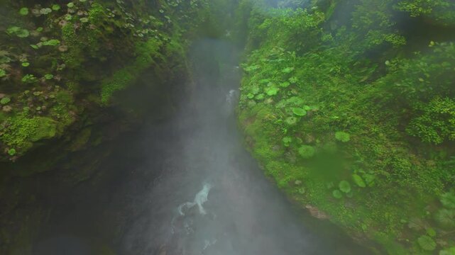 FPV drone dives into narrow misty canyon in Costa Rica rainforest revealing mossy cliffs giant green leaves ferns and turquoise river rapids with waterfall mist drifting through lush jungle.