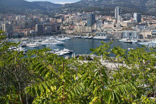 Port Hercule marina, yachts, tree-framed cityscape in Monaco
