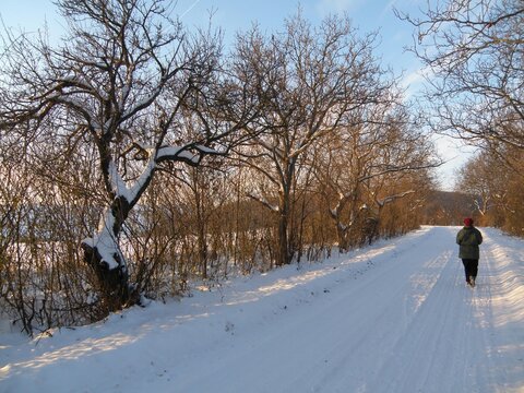 Person on a snowy road through a winter landscape.