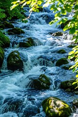 Naklejka premium Clear water flows over dark mossy rocks in mountain creek. Rapid stream cascades down forest terrain during summer day. Bubbling liquid white foam moves between green stones. Scenic natural