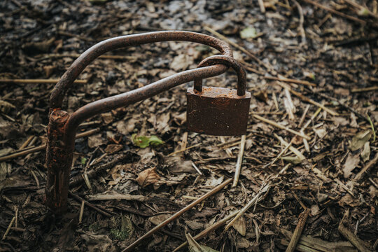 Rusty padlock attached to a bent metal rod on a ground covered with dry leaves and twigs in a natural outdoor setting