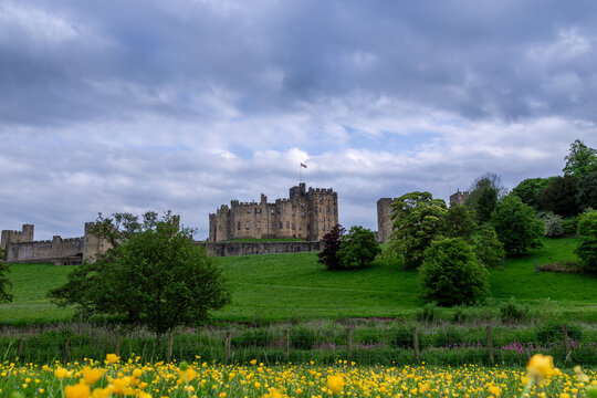 Alnwick Castle Summer