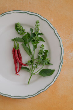 Red chili peppers and flowering basil on a white plate