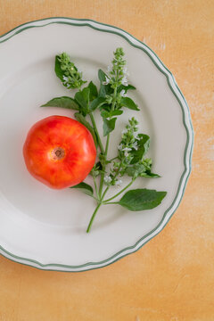 Large red tomato beside aromatic flowering basil