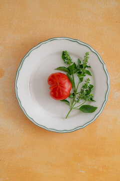 Homegrown tomato and basil arranged on a ceramic white plate
