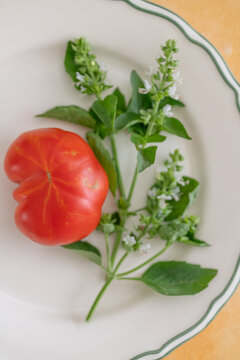 Homegrown tomato and basil arranged on a ceramic plate