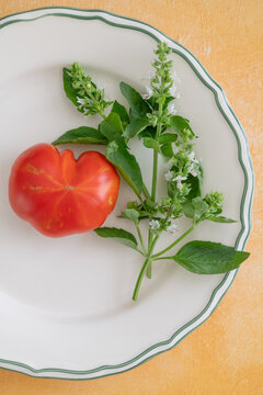 Ripe red tomato and flowering basil on a white plate