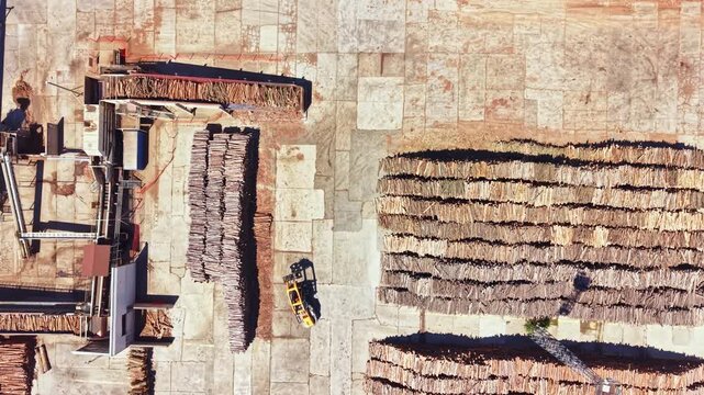 A wood processing site has long rows of stacked logs. Machinery moves logs around. The scene is busy with workers and equipment. The ground is clear and dry.