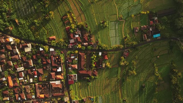 Aerial view of Sidemen Rice Terrace with lush green paddies and traditional village houses in Kecamatan Sidemen, Bali, Indonesia.