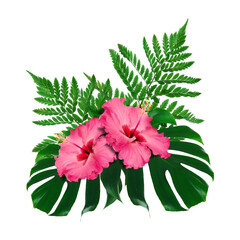 Pink hibiscus flowers and green tropical leaves on white background © New Africa