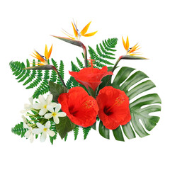 Tropical floral composition with red hibiscus, strelitzia and plumeria flowers on white background © New Africa