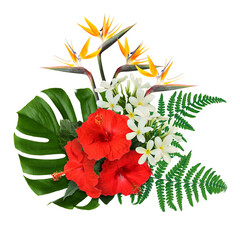 Tropical floral composition with red hibiscus, strelitzia and plumeria flowers on white background © New Africa