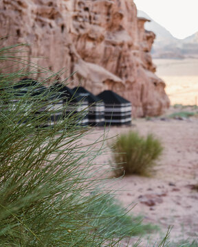 View of traditional Bedouin tents nestled against the towering sandstone cliffs of the Wadi Rum Desert in Wadi Rum Village, Aqaba Governorate, Jordan.