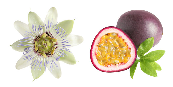Fresh passion fruits and flower isolated on white