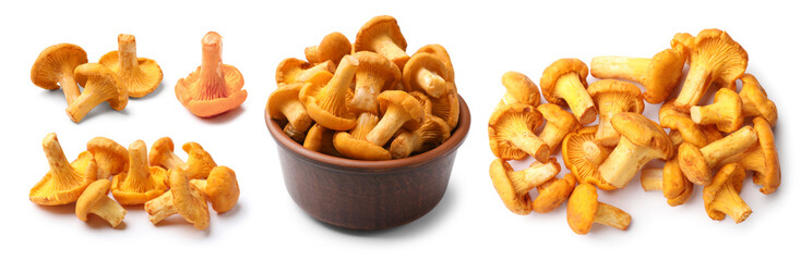 Fresh chanterelles isolated on white, set. Edible mushrooms © New Africa