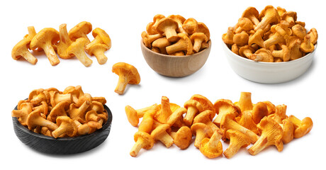 Fresh chanterelles isolated on white, set. Edible mushrooms © New Africa