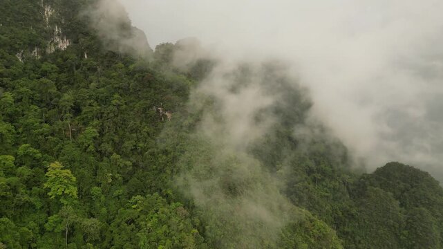 Misty Limestone Mountains and Tropical Rainforest in Khao Sok, Thailand