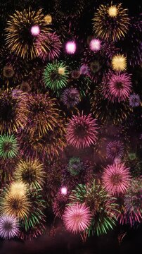 Colorful fireworks exploding in night sky celebration display