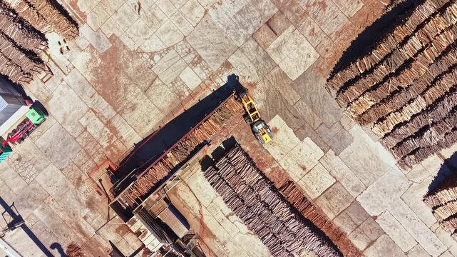 In an open area, heavy machines move and sort wood. Stacks of timber are organized nearby. The ground shows signs of wear from constant activity. This is a busy wood processing location.