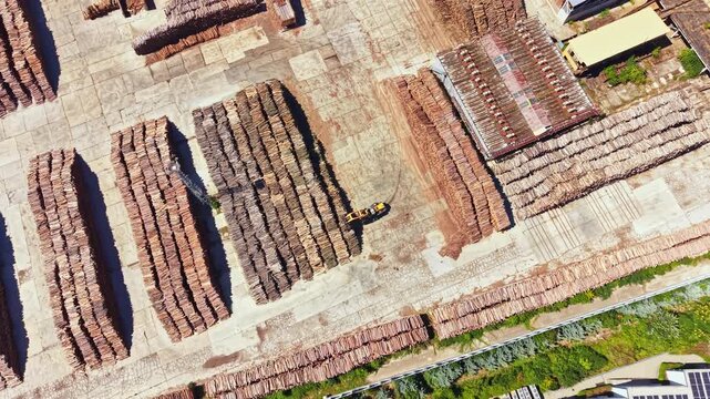 Logs are arranged in rows at a wood processing site. A machine operates in the center of the area. This scene takes place during daytime in a large outdoor space.