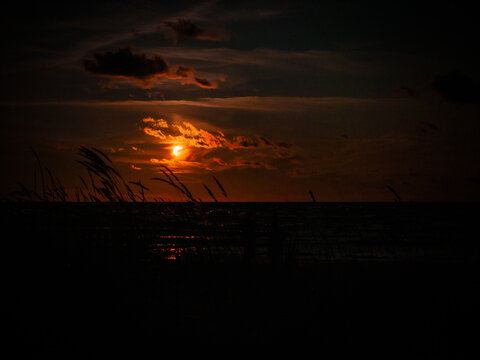 View of a partial solar eclipse over the Baltic Sea at Vakarbulli Beach with silhouettes of beach grass in the foreground under a dark sky in Riga, Latvia.