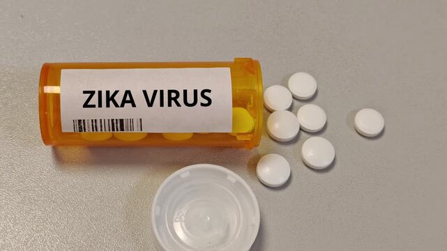 ZIKA VIRUS mosquito-borne flavivirus associated with congenital infection
