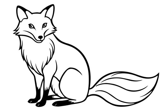 Fox sitting in simple line art style
